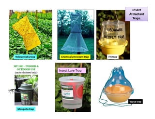 Insect Lure Trap
Yellow sticky trap Chemical attractant trap Fly trap
Mosquito trap
Wasp trap
Insect
Attractant
Traps.
 