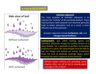 Activator adjuvants
The main purpose of activator adjuvants is to
improve the "activity" of the pesticide product. These
improvements--both physical and chemical generally
leads to better absorption and, as a result, a more
efficient use of the pesticide.
Activator adjuvants include Surfactants, oils, and
nitrogen-based fertilizers.
SURFACTANTS, also called wetting agents and
spreaders, physically change the surface tension of a
spray droplet. For a pesticide to perform its function
properly on a plant, the spray droplet must be able to
wet the foliage and spread out evenly. Surfactants
make the area of pesticide coverage larger, which
increases the pest's exposure to the chemical.
Without proper wetting and spreading, spray
droplets often run off or fail to provide good
coverage to the surfaces.
ACTIVATOR ADJUVANTS
 