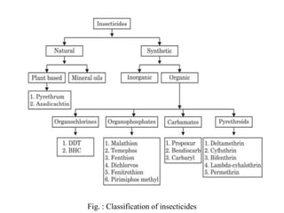 Fig. : Classification of insecticides
 