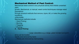 Pesticides | PPT
