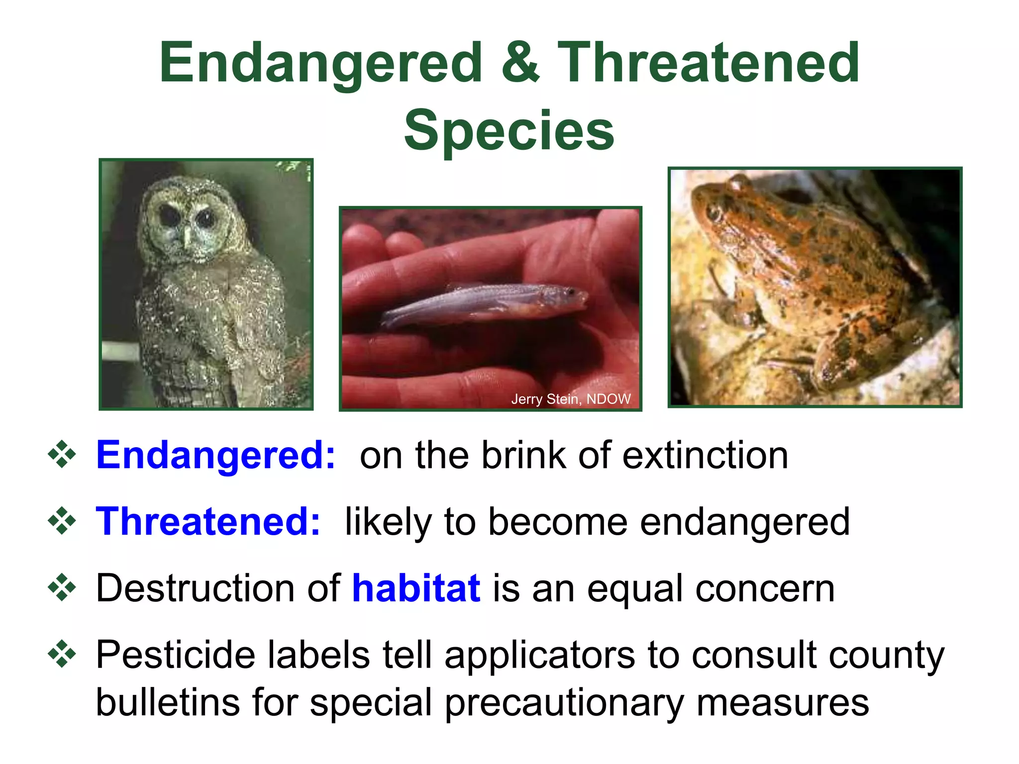 Endangered & Threatened
Species
 Endangered: on the brink of extinction
 Threatened: likely to become endangered
 Destruction of habitat is an equal concern
 Pesticide labels tell applicators to consult county
bulletins for special precautionary measures
Jerry Stein, NDOW
 