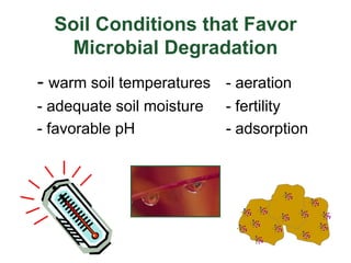 Soil Conditions that Favor
Microbial Degradation
- warm soil temperatures - aeration
- adequate soil moisture - fertility
- favorable pH - adsorption
 