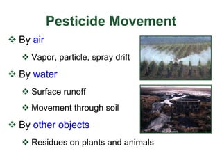 Pesticide Movement
 By air
 Vapor, particle, spray drift
 By water
 Surface runoff
 Movement through soil
 By other objects
 Residues on plants and animals
WSU
 