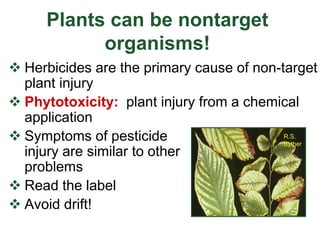Plants can be nontarget
organisms!
 Herbicides are the primary cause of non-target
plant injury
 Phytotoxicity: plant injury from a chemical
application
 Symptoms of pesticide
injury are similar to other
problems
 Read the label
 Avoid drift!
R.S.
Byther
 