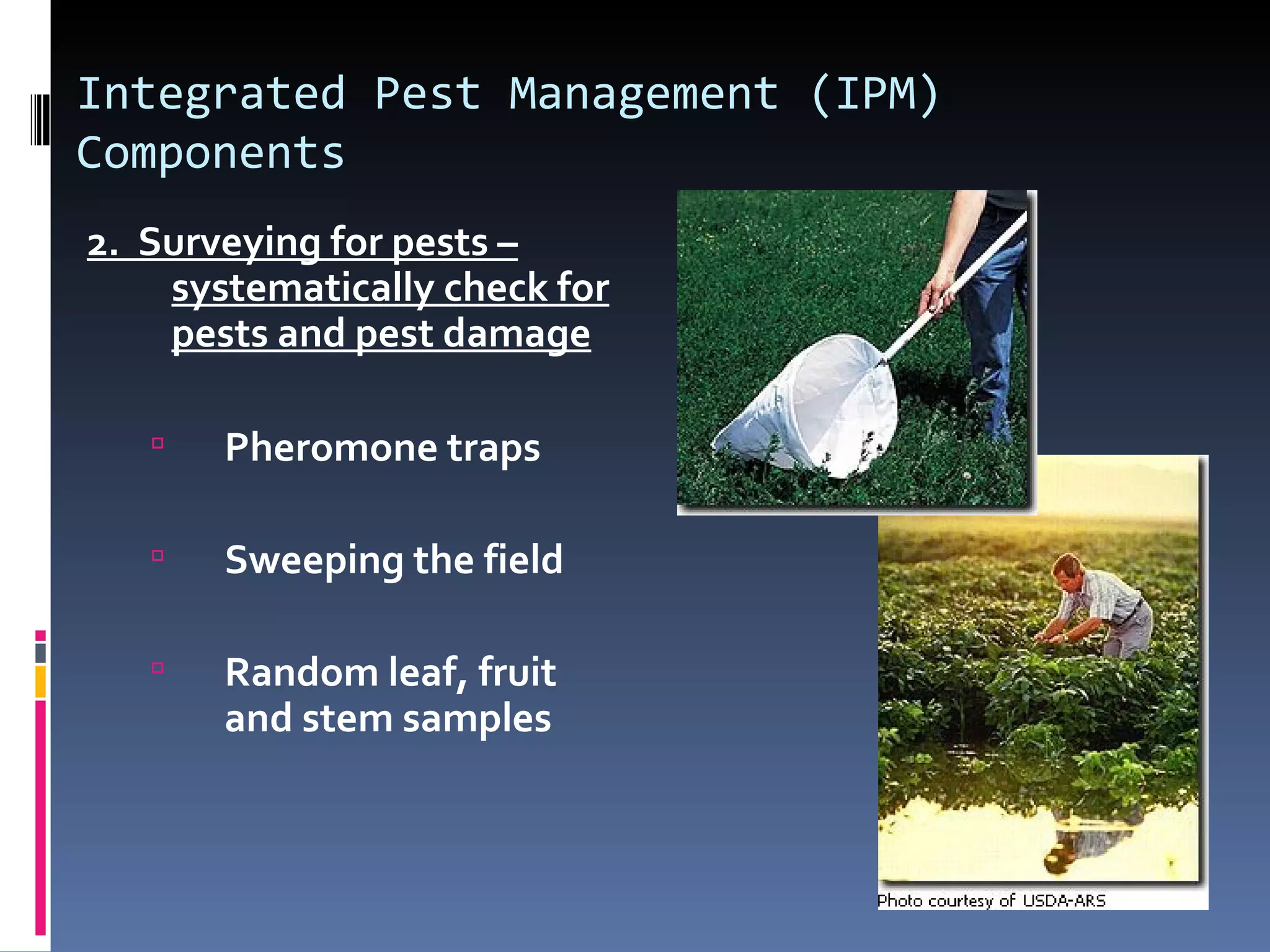 Integrated Pest Management (IPM)
Components
2. Surveying for pests –
    systematically check for
    pests and pest damage

      Pheromone traps

      Sweeping the field

      Random leaf, fruit
       and stem samples
 