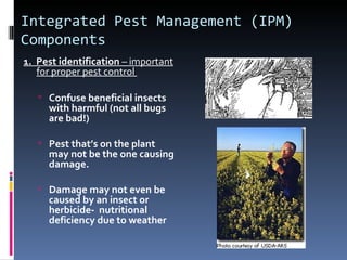 Integrated Pest Management (IPM)
Components
1. Pest identification – important
   for proper pest control

    Confuse beneficial insects
     with harmful (not all bugs
     are bad!)

    Pest that’s on the plant
     may not be the one causing
     damage.

    Damage may not even be
     caused by an insect or
     herbicide- nutritional
     deficiency due to weather
 