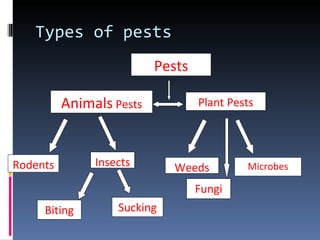 Types of pests
                          Pests

          Animals Pests           Plant Pests




Rodents        Insects       Weeds         Microbes

                                  Fungi
     Biting        Sucking
 