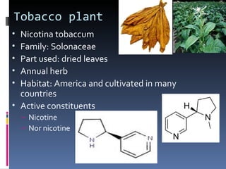 Tobacco plant
• Nicotina tobaccum
• Family: Solonaceae
• Part used: dried leaves
• Annual herb
• Habitat: America and cultivated in many
  countries
• Active constituents
    – Nicotine
    – Nor nicotine
 