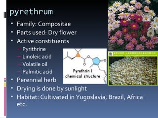 pyrethrum
• Family: Compositae
• Parts used: Dry flower
• Active constituents
  –   Pyrithrine
  –   Linoleic acid
  –   Volatile oil
  –   Palmitic acid
• Perennial herb
• Drying is done by sunlight
• Habitat: Cultivated in Yugoslavia, Brazil, Africa
  etc.
 