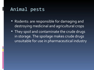 Animal pests

 Rodents: are responsible for damaging and
  destroying medicinal and agricultural crops
 They spoil and contaminate the crude drugs
  in storage. The spoilage makes crude drugs
  unsuitable for use in pharmaceutical industry
 