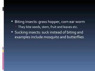  Biting insects: grass hopper, corn ear worm
   They bite seeds, stem, fruit and leaves etc.
 Sucking insects: suck instead of biting and
  examples include mosquito and butterflies
 