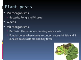 Plant pests
 Microorganisms
   Bacteria, Fungi and Viruses
 Weeds
 Microorganisms
   Bacteria: Xanthomonas causing leave spots
   Fungi: spores when come in contact cause rhinitis and if
    inhaled cause asthma and hay fever
 