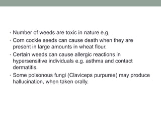 • Number of weeds are toxic in nature e.g.
• Corn cockle seeds can cause death when they are
present in large amounts in wheat flour.
• Certain weeds can cause allergic reactions in
hypersensitive individuals e.g. asthma and contact
dermatitis.
• Some poisonous fungi (Claviceps purpurea) may produce
hallucination, when taken orally.
 