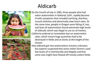 Aldicarb
On the Fourth of July in 1985, three people who had
eaten watermelon in Oakland, Calif., rapidly became
ill with symptoms that included vomiting, diarrhea,
muscle twitches and abnormally slow heart rates. At
the same time, people in Oregon were falling ill, too,
and tests of watermelons found extremely high levels
of aldicarb, which was illegal to use on all melons.
California ordered an immediate ban on watermelon
sales, which meant huge quantities had to be
destroyed in fields and at stores at the height of the
season.
How aldicarb got into watermelons remains unknown,
but experts suspected that some melon farmers used
low levels of it intentionally and illegally and that
some also might have flowed off nearby cotton fields.
 