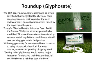 Roundup (Glyphosate)
The EPA paper on glyphosate dismissed as invalid
any study that suggested the chemical could
cause cancer, and their report of the peer
review process downplayed concerns raised by
the experts on the panel.
Trump’s EPA - led by Administrator Scott Pruitt,
the former Oklahoma attorney general who
sued the EPA more than a dozen times to stop
environmental regulations - and the courts will
now decide glyphosate’s designation.
With no glyphosate, farmers would have to resort
to using more-toxic chemicals for weed
control, or revert to grueling tillage by hand.
“Getting rid of glyphosate would have a major
impact on farmers and their bottom lines. It’s
not like there’s a risk-free scenario here.”
 