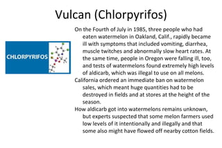 Vulcan (Chlorpyrifos)
On the Fourth of July in 1985, three people who had
eaten watermelon in Oakland, Calif., rapidly became
ill with symptoms that included vomiting, diarrhea,
muscle twitches and abnormally slow heart rates. At
the same time, people in Oregon were falling ill, too,
and tests of watermelons found extremely high levels
of aldicarb, which was illegal to use on all melons.
California ordered an immediate ban on watermelon
sales, which meant huge quantities had to be
destroyed in fields and at stores at the height of the
season.
How aldicarb got into watermelons remains unknown,
but experts suspected that some melon farmers used
low levels of it intentionally and illegally and that
some also might have flowed off nearby cotton fields.
 