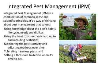 Integrated Pest Management (IPM)
Integrated Pest Management (IPM) is a
combination of common sense and
scientific principles. It's a way of thinking
about pest management that values:
Using knowledge about the pest's habits,
life cycle, needs and dislikes;
Using the least toxic methods first, up to
and including pesticides;
Monitoring the pest's activity and
adjusting methods over time;
Tolerating harmless pests; and
Setting a threshold to decide when it's
time to act.
 