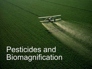 Pesticides and Biomagnification 