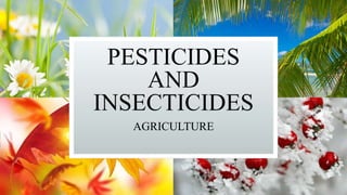 PESTICIDES
AND
INSECTICIDES
AGRICULTURE
 