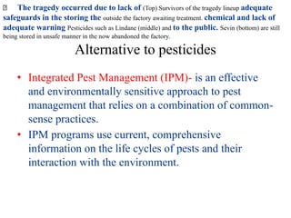 The tragedy occurred due to lack of (Top) Survivors of the tragedy lineup adequate
safeguards in the storing the outside the factory awaiting treatment. chemical and lack of
adequate warning Pesticides such as Lindane (middle) and to the public. Sevin (bottom) are still
being stored in unsafe manner in the now abandoned the factory.
Alternative to pesticides
• Integrated Pest Management (IPM)- is an effective
and environmentally sensitive approach to pest
management that relies on a combination of common-
sense practices.
• IPM programs use current, comprehensive
information on the life cycles of pests and their
interaction with the environment.
 