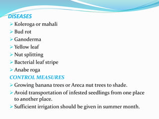 Anabe Roga Pesticides sprayer on arecanut tree using helium gas | PPTX