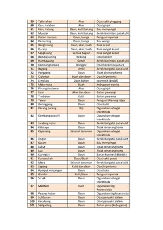 59 Tatintahan Akar Obat sakitpinggang
60 Kayuhalaban Akar Obat ginjal
61 Kayuilatung Daun, kulit batang Bau menyengat
62 Mundar Daun, kulit batang Berakibatiritasi padakulit
63 Pohonmercon Daun, bunga Pengusirnyamuk
64 Kemuning Daun, bunga Bau wangi
65 Bangkinang Daun, akar, buah Rasa sepat
66 Kuranji Daun, akar, buah Rasa sangat kecut
67 Sangkuang Semua bagian Rasa sangat kecut
68 Bambukuning Rebung Obat kanker
69 Hambawang Getah Berakibatiritasi padakulit
70 Kambangtatawa Bonggol Obat kankerpayudara
71 Bagang Umbi Berakibatgatal pada kulit
72 Panggang Daun Tidakdiseranghama
73 Ciplokan Buah dan daun Obat hipertensi
74 Simakau Daun Bahan kosmetik(bedak)
75 Mata-mata Buah Kebugaranwanita
76 Pinangsindawar Akar Obat ginjal
77 Usar Akar dan daun Bahan pewangi
78 Timbaran Kulit Bahan pewarna
79 Tawar Daun PengusirWerenghijau
80 Gulinggang Daun Obat kulit
81 Kacang parang Biji Digunakansebagai
Insektisida
82 Kembangpukul 4 Daun Digunakansebagai
Insektisida
83 Jalatangnyiru Daun Berakibatgatal pada kulit
84 Kalalayu Daun Tidakterseranghama
85 Kapayang Seluruh tanaman Digunakansebagai
Insektisida
86 Jingah Daun Berakibatgatal pada kulit
87 Galam Daun Bau menyengat
88 Lukut Daun Tidakterseranghama
89 Lua Daun Tidakterseranghama
90 Kuringkit Daun Bahan kosmetik(bedak)
91 Kumandrah Daun/Buah Obat sakitperut
92 Maya Seluruh tanaman Berakibatgatal pada kulit
93 Sapang Kulit dan daun Obat hipertensi
94 Rumputminjangan Daun Obat luka
95 Gambir Kulit/daun Pengusirnyamuk
96 Sirsak Daun Digunakansebagai
Insektisida
97 Maritam Kulit Digunakansbg
Rodentisida
98 Pepayahutan Daun DigunakansbgInsektisida
99 Suli bulan Daun Obat penyakitdalam
100 Kacubung Daun Obat penyakitdalam
101 Sarigading Daun Bahan jamu(kebugaran)
 