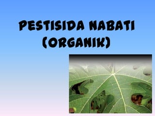 Pestisida nabati
   (organik)
 