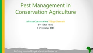 Realizing sustainable agricultural mechanisation
African Conservation Tillage Network
By: Peter Kuria
1 December 2017
Pest Management in
Conservation Agriculture
 