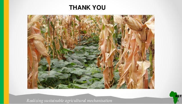 Pest management in Conservation Agriculture