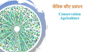Conservation
Agriculture
जैविक कीट प्रबंधन
 