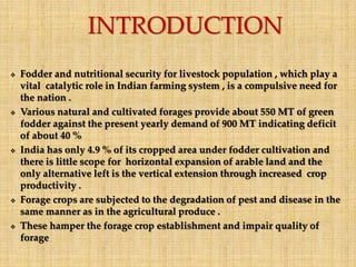 Through Fodder Pest of forage crop | PPTX