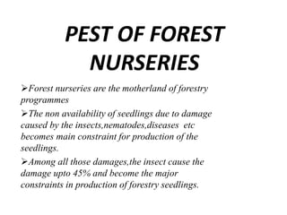 PEST OF FOREST
NURSERIES
Forest nurseries are the motherland of forestry
programmes
The non availability of seedlings due to damage
caused by the insects,nematodes,diseases etc
becomes main constraint for production of the
seedlings.
Among all those damages,the insect cause the
damage upto 45% and become the major
constraints in production of forestry seedlings.
 