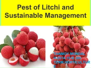 Pest of Litchi and
Sustainable Management
TANMOY MONDAL
H-2014-19-B ‚6th
TERM‚HORTICULTUR
E
 