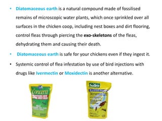 Pest of poultry and their future precautions | PPTX