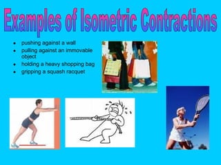 pushing against a wall pulling against an immovable object holding a heavy shopping bag  gripping a squash racquet  Examples of Isometric Contractions 
