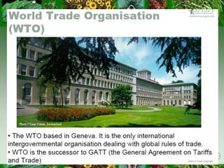 Wto Risk Analysis Pest risk analysis | PPTX