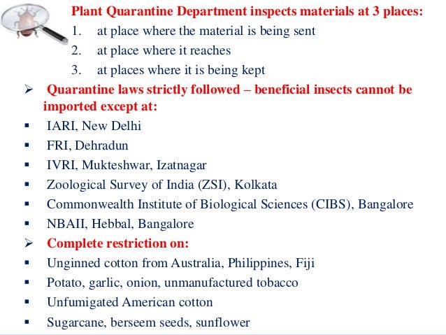 Pest risk analysis