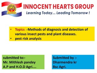 • Topics :-Methods of diagnosis and detection of
various insect pests and plant diseases.
• pest risk analysis
submitted to:-
Mr. Mithlesh pandey
A.P and H.O.D Agri....
Submitted by :-
Dharmendra kr
Bsc Agri.
 
