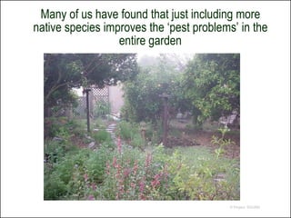 Many of us have found that just including more
native species improves the ‘pest problems’ in the
                  entire garden




                                         © Project SOUND
 