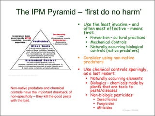 The IPM Pyramid – ‘first do no harm’
                                                 Use the least invasive – and
                                                  often most effective - means
                                                  first:
                                                    Prevention – cultural practices
                                                    Mechanical Controls
                                                    Naturally occurring biological
                                                     controls (native predators)
                                                 Consider using non-native
                                                  predators
                                                 Use chemical controls sparingly,
http://www.team.ars.usda.gov/ipm.html
                                                  as a last resort:
                                                    Naturally occurring elements
                                                    Biologics – chemicals made by
   Non-native predators and chemical                 plants that are toxic to
   controls have the important drawback of           pests/diseases
   non-specificity – they kill the good pests       Non-biologic pesticides:
   with the bad.                                        Insecticides
                                                        Fungicides
                                                        Miticides
                                                                        © Project SOUND
 