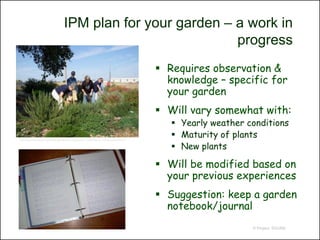 IPM plan for your garden – a work in
                                                         progress
                                                                             Requires observation &
                                                                              knowledge – specific for
                                                                              your garden
                                                                             Will vary somewhat with:
                                                                                Yearly weather conditions
http://www.hoodcountymastergardeners.org/Demo_2006/Demo_Construction.html
                                                                                Maturity of plants
                                                                                New plants

                                                                             Will be modified based on
                                                                              your previous experiences
                                                                             Suggestion: keep a garden
                                                                              notebook/journal
                                                                                                 © Project SOUND
 