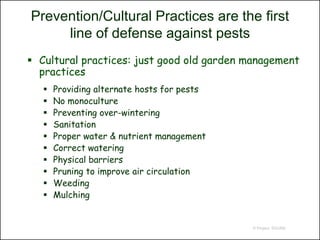 Prevention/Cultural Practices are the first
     line of defense against pests
 Cultural practices: just good old garden management
  practices
      Providing alternate hosts for pests
      No monoculture
      Preventing over-wintering
      Sanitation
      Proper water & nutrient management
      Correct watering
      Physical barriers
      Pruning to improve air circulation
      Weeding
      Mulching


                                             © Project SOUND
 