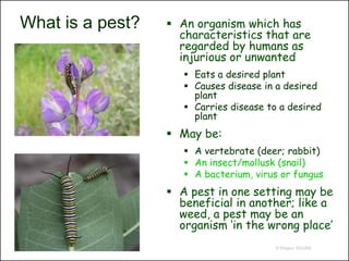 What is a pest?    An organism which has
                    characteristics that are
                    regarded by humans as
                    injurious or unwanted
                      Eats a desired plant
                      Causes disease in a desired
                       plant
                      Carries disease to a desired
                       plant
                   May be:
                      A vertebrate (deer; rabbit)
                      An insect/mollusk (snail)
                      A bacterium, virus or fungus
                   A pest in one setting may be
                    beneficial in another; like a
                    weed, a pest may be an
                    organism ‘in the wrong place’
                                         © Project SOUND
 