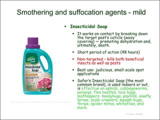 Smothering and suffocation agents - mild
                                                             Insecticidal Soap
                                                                       It works on contact by breaking down
                                                                        the target pest’s cuticle (waxy
                                                                        covering) — promoting dehydration and,
                                                                        ultimately, death.
                                                                       Short period of action (48 hours)
                                                                       Non-targeted – kills both beneficial
                                                                        insects as well as pests
                                                                       Best use: judicious, small-scale spot
                                                                        applications
                                                                       Safer’s Insecticidal Soap (the most
                                                                        common brand), is used indoors or out,
                                                                        is effective on aphids, cabbageworms,
                                                                        earwigs, flea beetles, lace bugs,
                                                                        leafhoppers, mealybugs, psyllids, sawfly
                                                                        larvae, scale crawlers, squash bugs,
                                                                        thrips, spider mites, whiteflies, and
http://ecx.images-amazon.com/images/I/51z2EPV-efL._SL500_AA280_.jpg


                                                                        more.
                                                                                                   © Project SOUND
 
