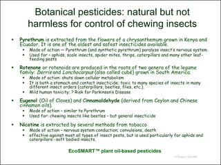 Botanical pesticides: natural but not
         harmless for control of chewing insects
   Pyrethrum is extracted from the flowers of a chrysanthemum grown in Kenya and
    Ecuador. It is one of the oldest and safest insecticides available.
        Mode of action — Pyrethrum (and synthetic pyrethrum) paralyze insect’s nervous system.
        Used for – aphids, scale insects, spider mites, thrips, caterpillars and many other leaf-
         feeding pests

   Rotenone or rotenoids are produced in the roots of two genera of the legume
    family: Derris and Lonchocarpus (also called cubé) grown in South America.
        Mode of action: shuts down cellular metabolism
        It is both a stomach and contact insecticide; toxic to many species of insects in many
         different insect orders (caterpillars, beetles, flies, etc.).
        Mild human toxicity; ? Risk for Parkinson’s Disease

   Eugenol (Oil of Cloves) and Cinnamaldehyde (derived from Ceylon and Chinese
    cinnamon oils).
        Mode of action – similar to Pyrethrum
        Used for: chewing insects like beetles – but general insecticide

   Nicotine is extracted by several methods from tobacco
        Mode of action – nervous system conduction; convulsions, death
        effective against most all types of insect pests, but is used particularly for aphids and
         caterpillars--soft bodied insects.

                             EcoSMART™ plant oil-based pesticides
                                                                                   © Project SOUND
 