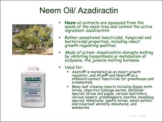 Neem Oil/ Azadiractin
        Neem oil extracts are squeezed from the
         seeds of the neem tree and contain the active
         ingredient azadirachtin
        Rather sensational insecticidal, fungicidal and
         bactericidal properties, including insect
         growth regulating qualities.
        Mode of action--Azadirachtin disrupts molting
         by inhibiting biosynthesis or metabolism of
         ecdysone, the juvenile molting hormone.
        Used for:
           Azatin® is marketed as an insect growth
            regulator, and Align® and Nemix® as a
            stomach/contact insecticide for greenhouse and
            ornamentals.
           Many leaf chewing insects including Gypsy moth
            larvae, imported cabbage worms, leafminer
            species’ larvae and pupae, various leafrollers,
            various loopers, grasshoppers, beetles, mealybug
            species’ immatures, sawfly larvae, sweet potato
            and silverleaf whitefly immatures, and
            webworms

                                             © Project SOUND
 