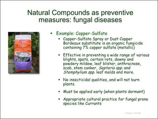 Natural Compounds as preventive
   measures: fungal diseases
       Example: Copper-Sulfate
          Copper-Sulfate Spray or Dust Copper
           Bordeaux substitute is an organic fungicide
           containing 7% copper sulfate (metallic)
          Effective in preventing a wide range of various
           blights, spots, certain rots, downy and
           powdery mildew, leaf blister, anthracnose,
           scab, stem canker, Septoria spp. and
           Stemphylium spp. leaf molds and more.
          No insecticidal qualities, and will not burn
           plants.
          Must be applied early (when plants dormant)
          Appropriate cultural practice for fungal prone
           species like Currants

                                              © Project SOUND
 