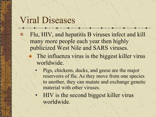 Viral Diseases Flu, HIV, and hepatitis B viruses infect and kill many more people each year then highly publicized West Nile and SARS viruses. The influenza virus is the biggest killer virus worldwide. Pigs, chickens, ducks, and geese are the major reservoirs of flu. As they move from one species to another, they can mutate and exchange genetic material with other viruses. HIV is the second biggest killer virus worldwide . 