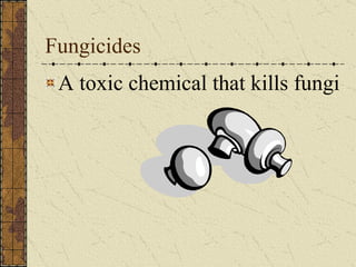 Fungicides A toxic chemical that kills fungi 
