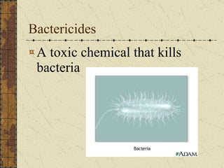 Bactericides A toxic chemical that kills bacteria 